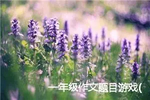 一年级作文题目游戏(优秀25篇)