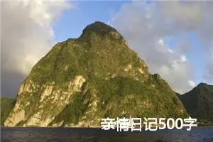 亲情日记500字