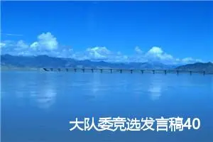大队委竞选发言稿400字