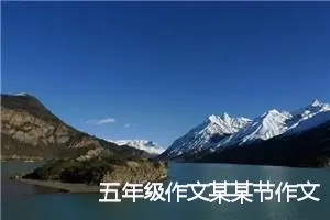 五年级作文某某节作文23篇