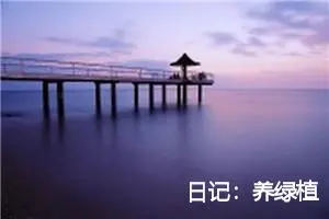 日记:养绿植
