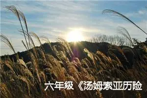 六年级《汤姆索亚历险记》梗概
