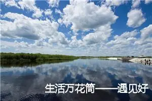 生活万花筒——遇见好朋友海豚