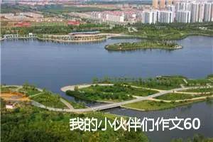 我的小伙伴们作文600字