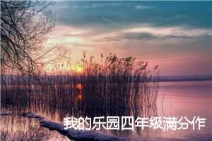 我的乐园四年级满分作文400字