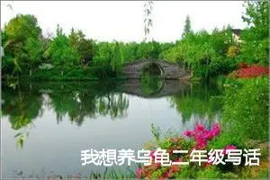 我想养乌龟二年级写话