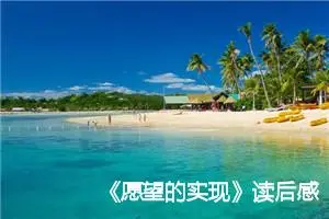 《愿望的实现》读后感二年级