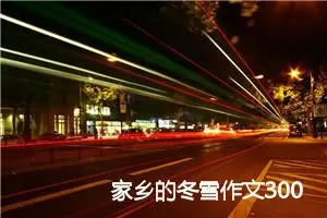 家乡的冬雪作文300字