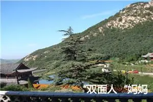 “双面人“妈妈