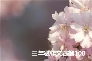 三年级作文石榴100个字(优秀42篇)