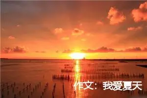 作文:我爱夏天