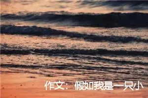 作文:假如我是一只小鸟