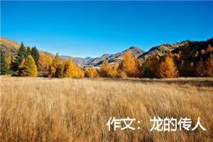 作文:龙的传人