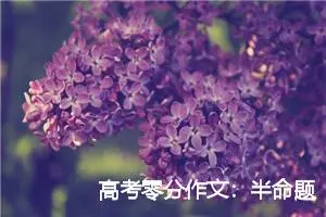 高考零分作文:半命题作文范文_高考零分作文