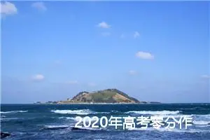 2020年高考零分作文搞笑:论整容的重要性_高考零分作文