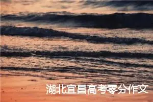 湖北宜昌高考零分作文:给小陈的一封信_高考零分作文