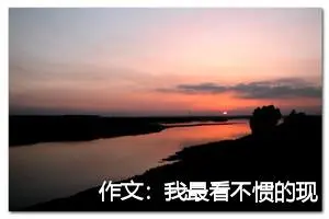 作文:我最看不惯的现象