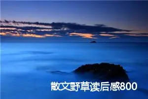 散文野草读后感800字_初中读后感作文