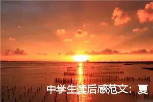中学生读后感范文:夏洛的网读后感200字_初中读后感作文