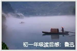 初一年级读后感:鲁迅《野草》读后感_作文350字_初中读后感作文