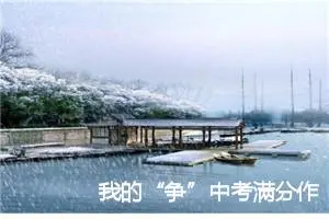 我的“争”中考满分作文赏析_中考满分作文