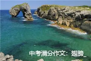 中考满分作文：翅膀_中考满分作文