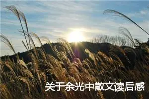 关于余光中散文读后感700字精选_初中读后感作文