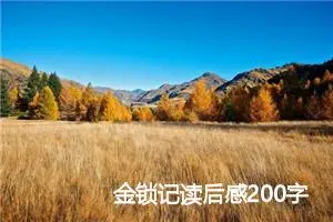 金锁记读后感200字范文_初中读后感作文
