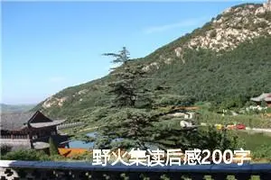 野火集读后感200字范文_初中读后感作文