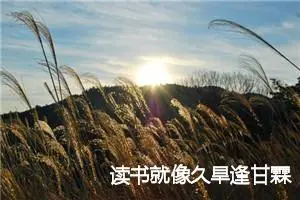 读书就像久旱逢甘霖