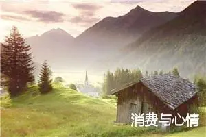 消费与心情