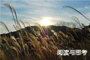 阅读与思考