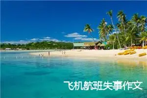 飞机航班失事作文