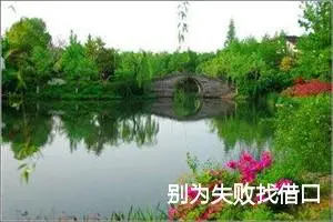 别为失败找借口