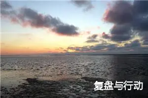 复盘与行动