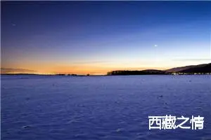 西藏之情