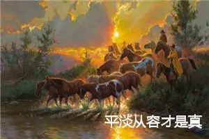 平淡从容才是真