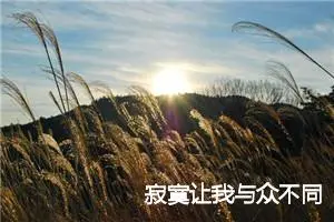 寂寞让我与众不同