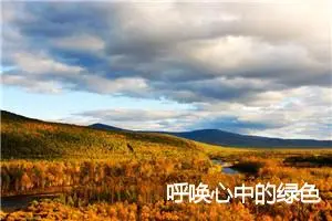 呼唤心中的绿色