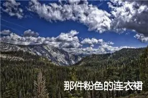 那件粉色的连衣裙