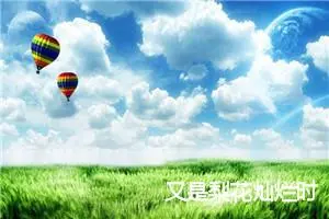 又是梨花灿烂时