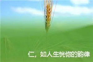 仁，如人生恍惚的韵律跳动