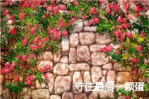 守住最后一颗蛋