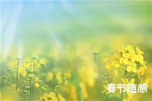 春节随感