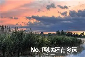 No.1到底还有多远？