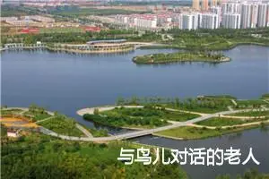 与鸟儿对话的老人