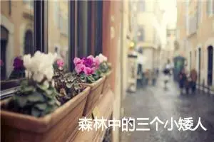 森林中的三个小矮人