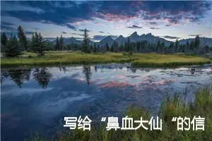 写给“鼻血大仙“的信