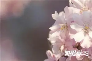 热爱学习