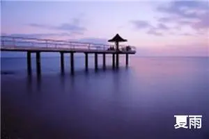 夏雨
